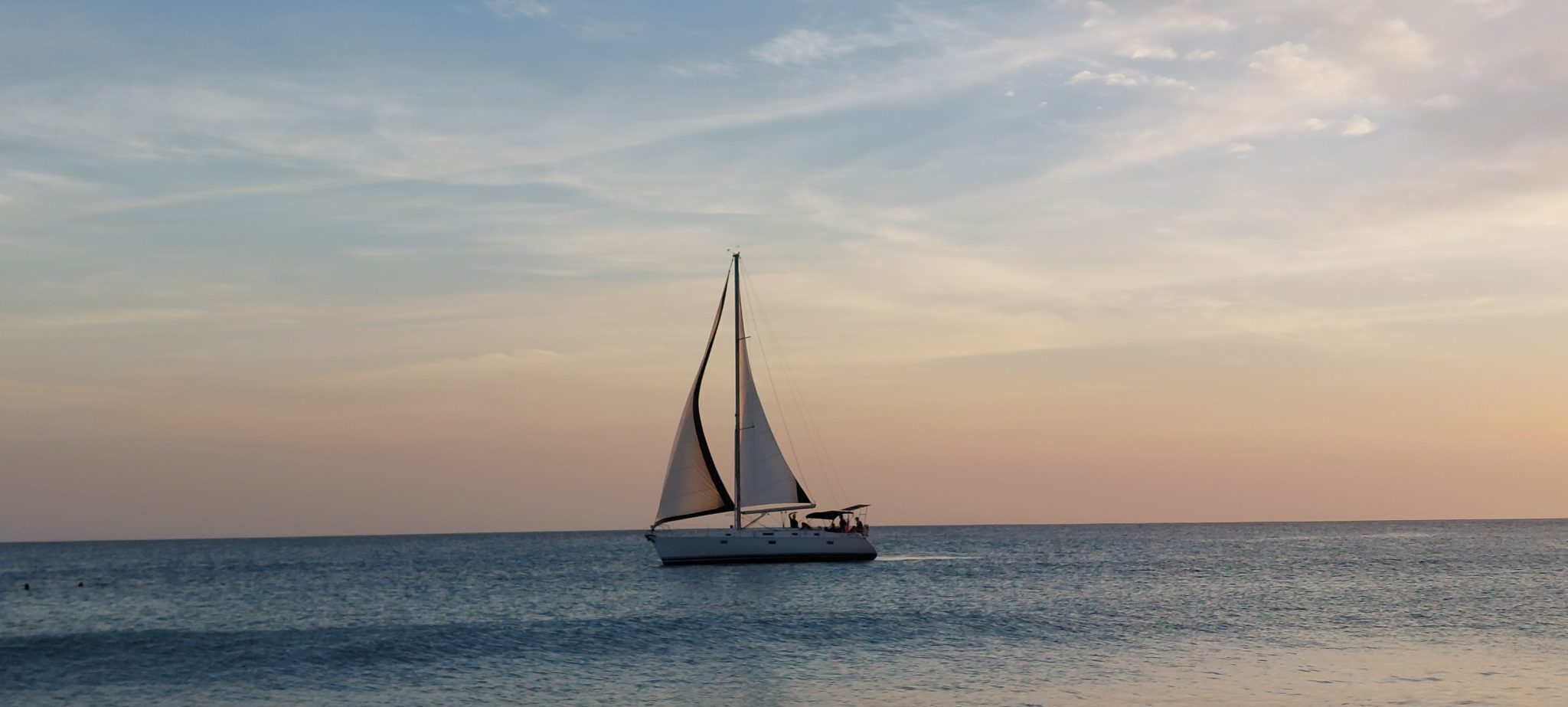 Back Loop Sailing